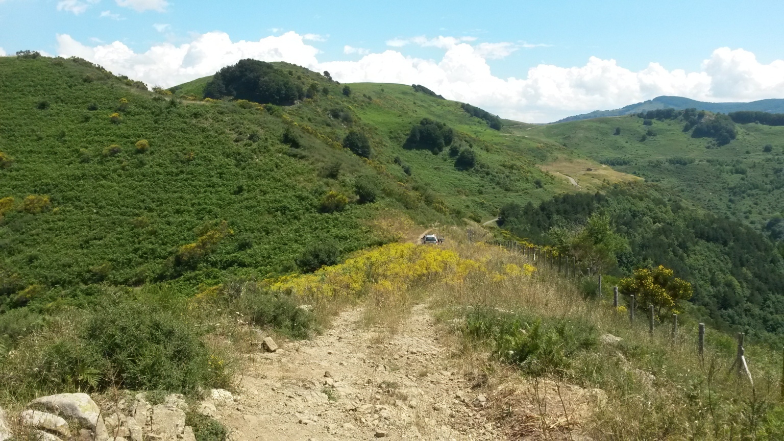 20150628_144222 .jpg